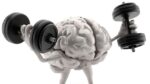 brain